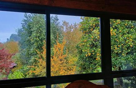 Casa Uma Turismo Rural - Photo 30