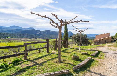 La Pallisa - Foto 11