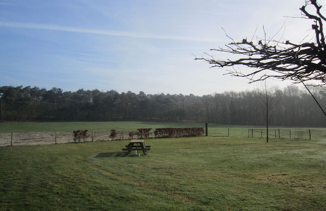 Lovely Cottage near Lake in Well - Foto 37