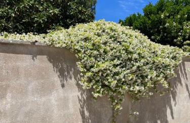 Midori-an 緑庵 - The Garden - Foto 63