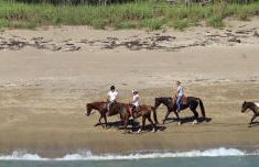 Pet-Friendly 2BR - No Pet Fees - Walk to Beach - Foto 24