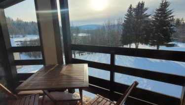 LE CHALET des 3 Sapins, Superbe Duplex Montagnard avec balcon, au calme - Les Rousses, Draps inclus & Parking gratuit - Foto 5