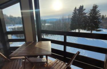 LE CHALET des 3 Sapins, Superbe Duplex Montagnard avec balcon, au calme - Les Rousses, Draps inclus & Parking gratuit - Foto 5