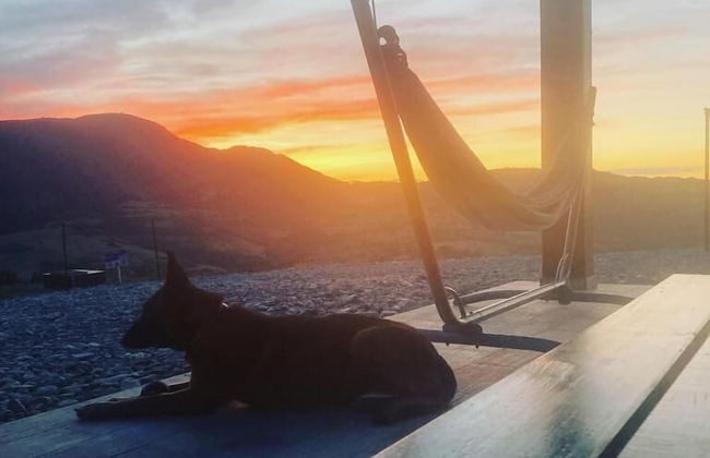 Azienda Agricola Saint Hubert - Foto 28