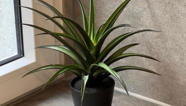 Königshof Studio - Foto 3