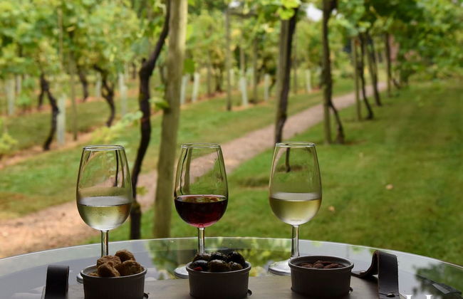 South Lodge Luxury Accommodation - Foto 20