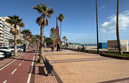 Rey de España Don Miguel, Fuengirola - Foto 14