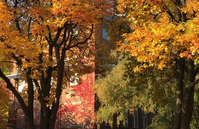 Forenom Aparthotel Malmö Varvstaden - Foto 28