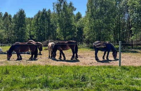 Lovely Home In Drogoradz - Foto 11