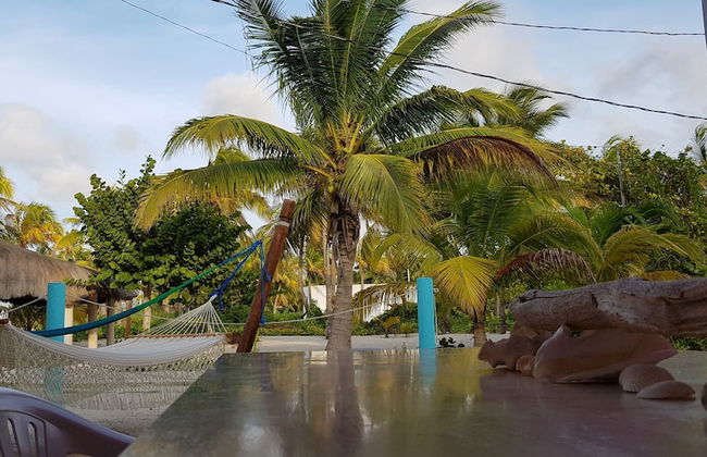 Casa de los peces - Foto 1