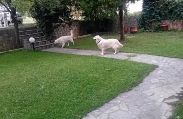 Meteora Grande luxury suite & spa villa - Foto 67