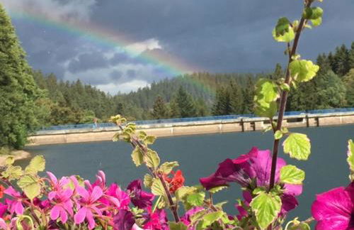 Holidayhaus Lütsche - Photo 16