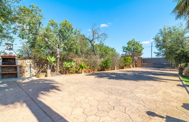 Son Catlar - Photo 29