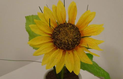 Ferienwohnung Lindenhof - Foto 20