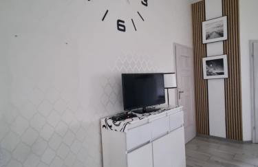 Domki Boszkowo-Dominice Bliźniak 2 apartamenty - Foto 16