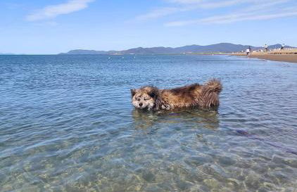 Mareblù - Tuscany Green Aparthotel - Foto 50