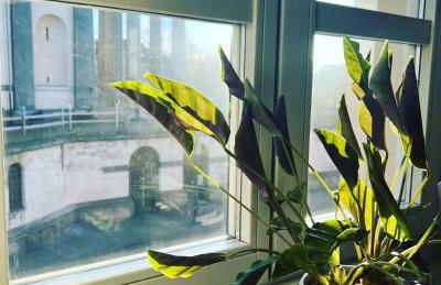 La casa dei pescatori - Foto 15