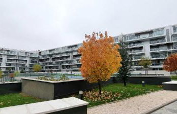 El Jardín de Galatea - Foto 23