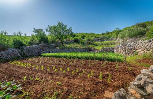 Villa Didovina - Foto 14