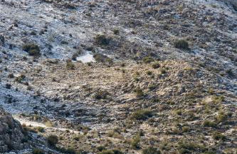 Cortijo Nuevo Alojamiento Rural - Foto 6