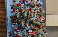 Cactus house relax - Foto 9