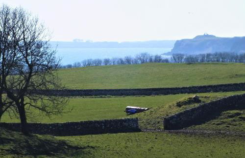 Olafs Cottage - Foto 18