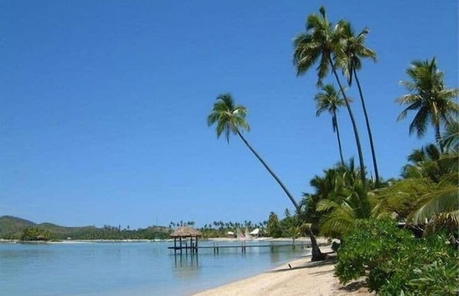 Vale Oasis - Foto 25