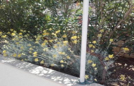 Villa SARA - Photo 27