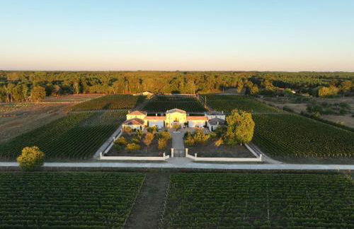 La Tour Bélize du Château Saint-Laurent - Foto 5