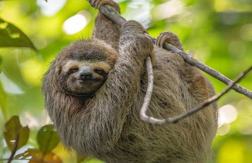 Sea Oats I-103 - Foto 45