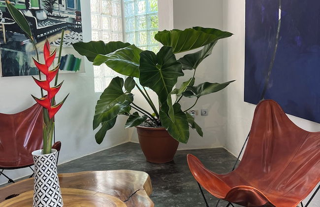 Villa in Havana with swimming pool and terrace - Foto 28