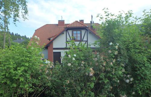 U Aptekarzy - Foto 45