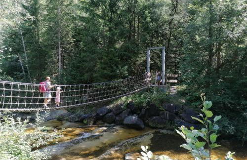 Panek, Haus - Foto 40