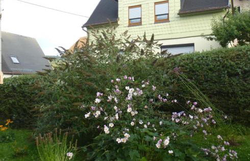 Ferienwohnung am Querweg - Foto 20