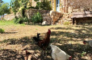 Agriturismo Is Conchisceddas - Foto 70