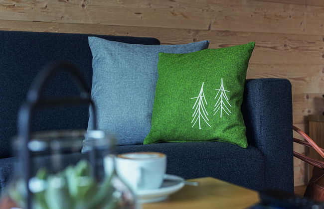 Puitalm - Natur I Apart I Hotel - Foto 59