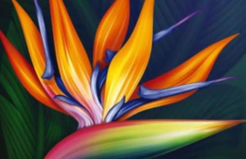 Dimora Sterlizia zona Fiera S Donato - Photo 23