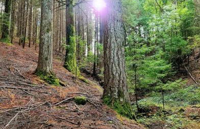 Casa de Férias - Foto 41