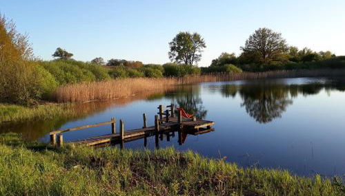 Ferienwohnung und Gästezimmer im Gutshaus Alt-Krassow - Foto 3