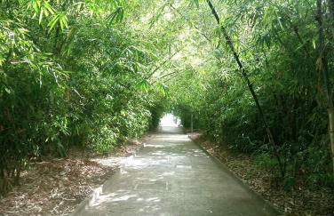 CENTER Santa Cruz, Alojamiento céntrico con gran terraza, cocina , salón y baños, todo privado - Foto 50