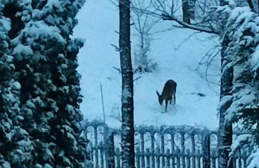 Apartament u Źródła - Foto 34