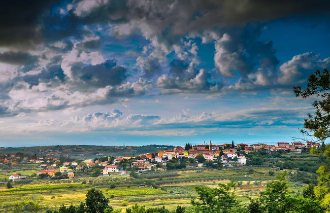 Wine & Apartment VINALES - Foto 33