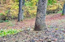 North Star Retreats - Foto 43