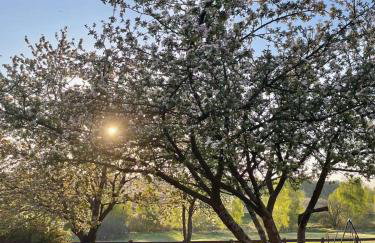 "Dolina szczęścia" Kartkowo - Foto 25