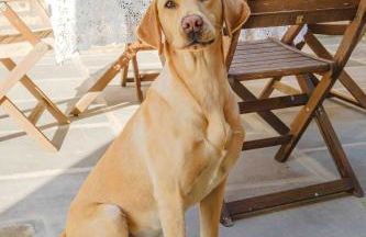 Teviot Cottage - Gorgeous Cosy & Modern 2BR Cottage in Hawick - Foto 8