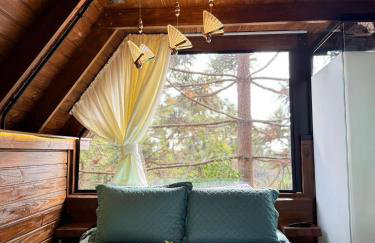 Casa na Árvore em Guarapuava - Foto 29