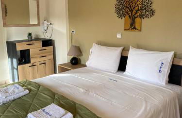 Miranda Studios - Foto 38