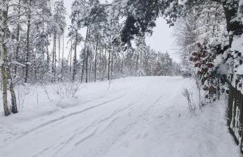 Chatka Baby Jagi - Domek z balią i kominkiem w lesie pośród jezior - Foto 42