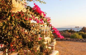 Sunny Studios Naxos - Foto 35