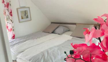 Apartment Scholle Steinbeck - Foto 1